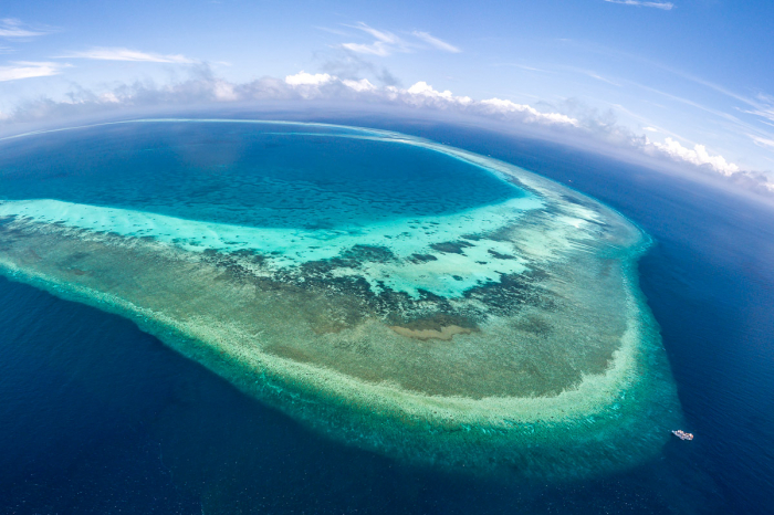 Tubbataha Reef