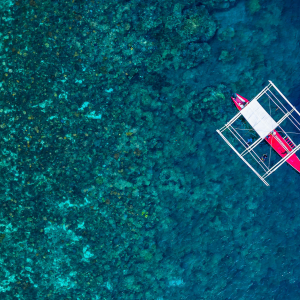 Philippines Diving Guide Banner