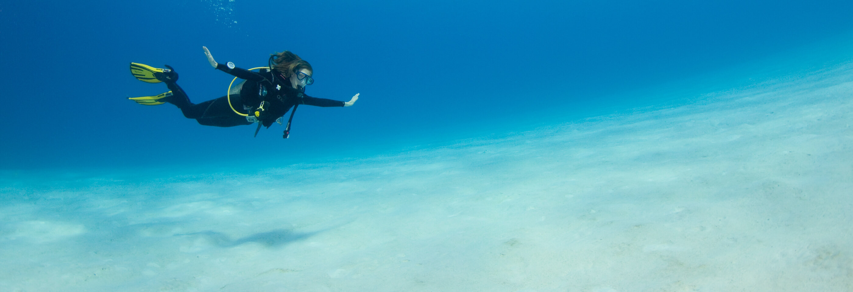 Diving The Maldives On A Budget Zublu