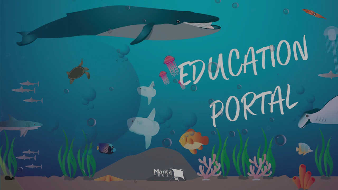 The Manta Trust's Ocean Education Portal | ZuBlu