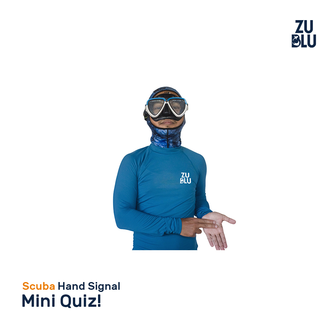 mini-hand-signal-quiz-zublu